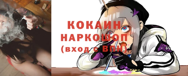 спиды Богородицк
