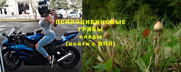 спиды Богородицк