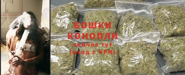 спиды Богородицк