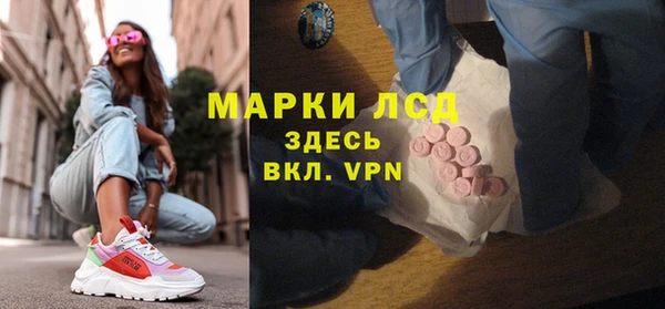 спиды Богородицк